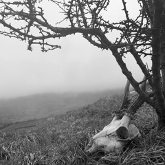 Joshua Arnold and Therine