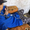 Brayan