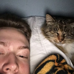 Aidan Harris Seligman