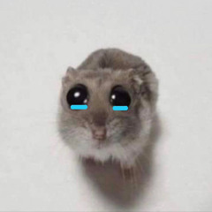 koo