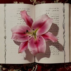 هتّان