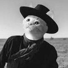 Catman And The Mancats