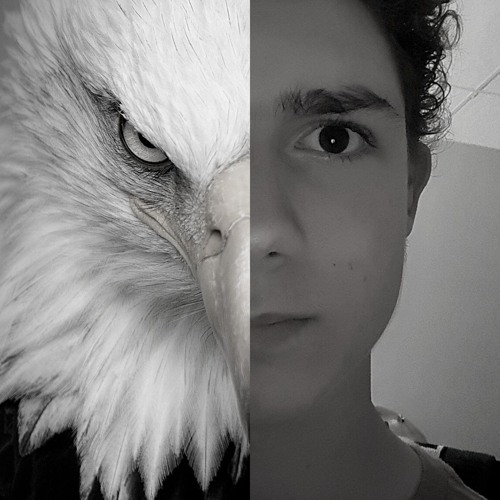 Essency the Eagle’s avatar