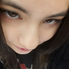 snow_dogXDDX