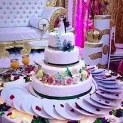 محمد سمير الحلوان الحلوانى