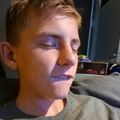 sjonnieponnie