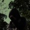 shinjis2 [ @shinjis2_ ]