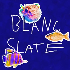 BLANC SLATES