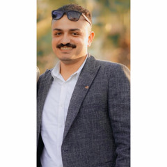 Mohamed Hamed Abd Elhady