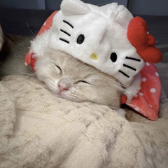かすが