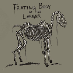 Fruiting Body of the Larger