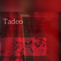 Tadeo