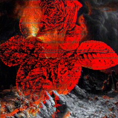 норман грейсон