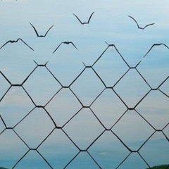 ياسمين ناصر