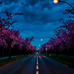 salma.khaleel