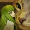 cult of anime tiddies and cats
