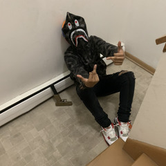 BTD_VONN