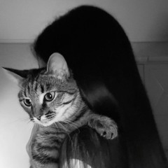 🐈‍⬛