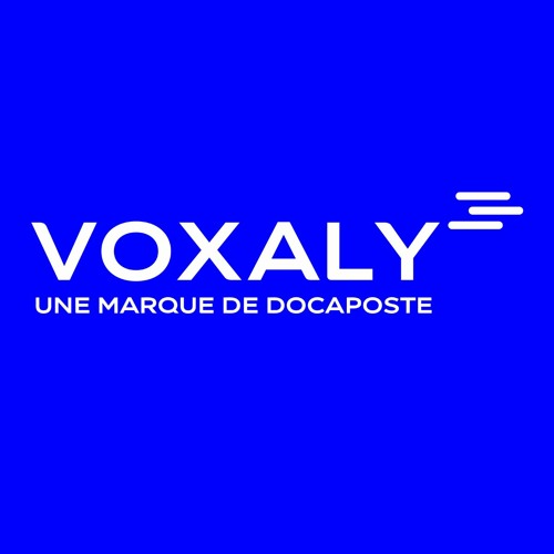 Voxaly’s avatar