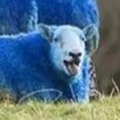 DominosBSZRemixor