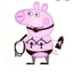 Linus.favrbo