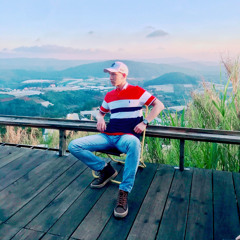 Việt Anh
