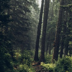 RuhrpottNoob