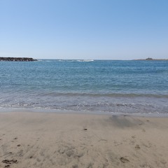 dori_an.w