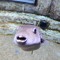 Razorfish