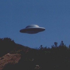 I like your shoelaces :)