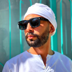 mohamad amiri