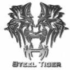 SteelTigerV5