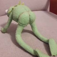 pheighdihd