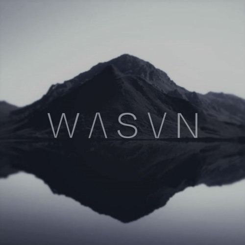 WASVN’s avatar