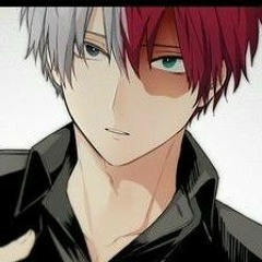 Shoto Todoroki