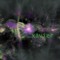xavier222