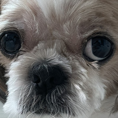 랏