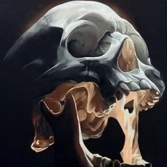 dj killa gangstafrapfort