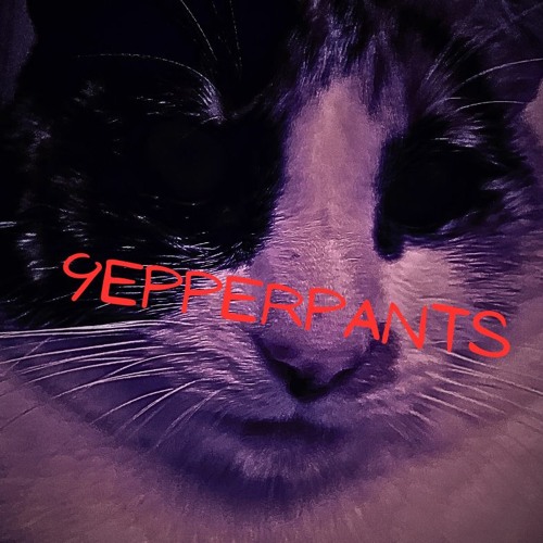 9epperpants’s avatar