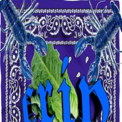 Lil lettuce𝖈𝖗𝖎𝖕
