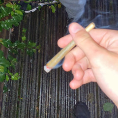 yxng