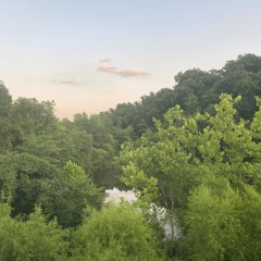 braoin