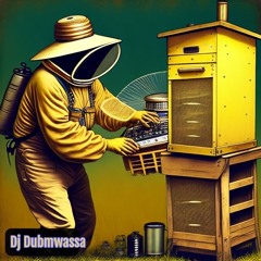 TIWOM aka DuBmWaSsa