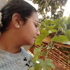 Marina Hany