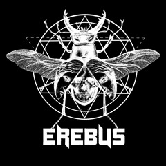 EREBUS - Madmuzik