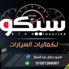 السيد جمال عبدالستار