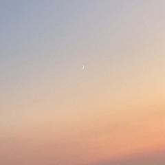 Monkey.D. 𝓢𝓬𝓴𝓻𝓲𝓵𝓵𝓪