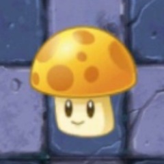 funguy06