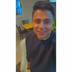 Fady Sarhan