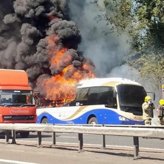 Hello Translinks?